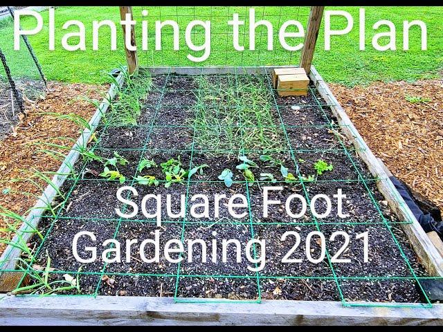 Square Foot Gardening _ Planting the Plan // Whitt Acres