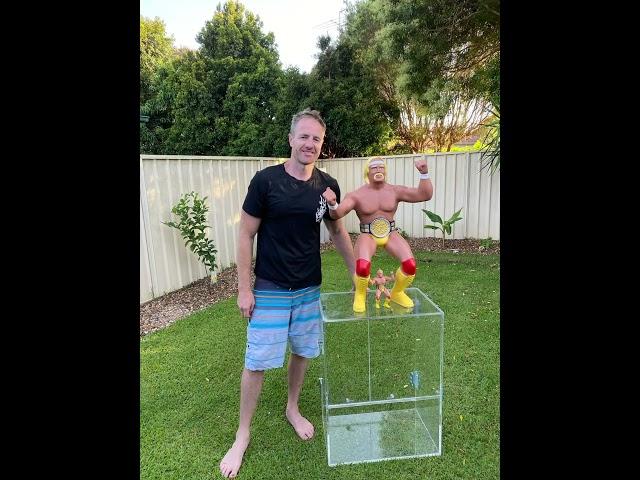 Massive 32” Hulk Hogan LJN 4UP by LJNCUSTOMANN