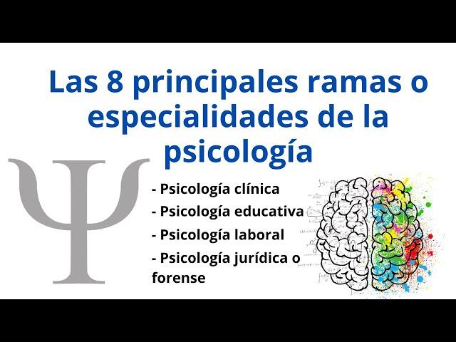 Las 8 principales ramas o especialidades de la psicología