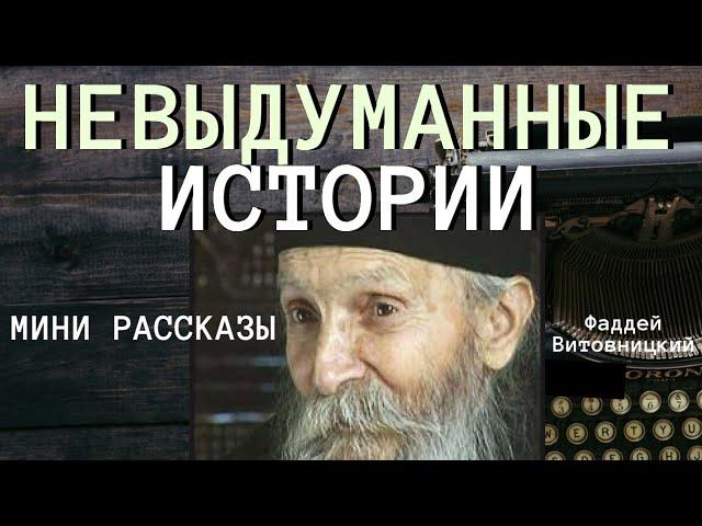 Очень интересные истории. Православные рассказы - Фаддей Витовницкий