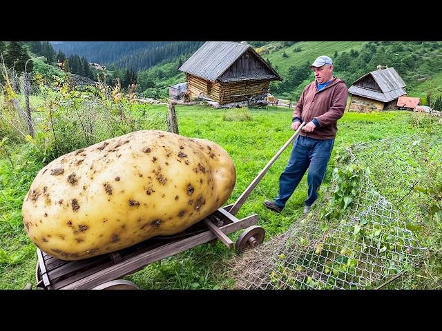 Hard Life in a Mountain Village Far From Civilization. A Son Helps His 85-Year-old Lonely Mother.