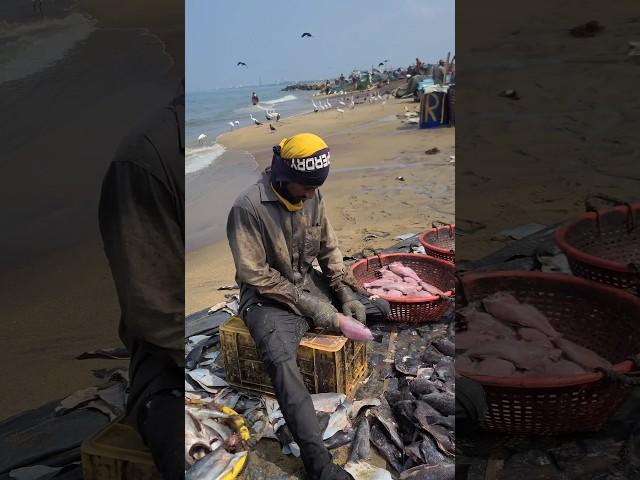 Peeling fish