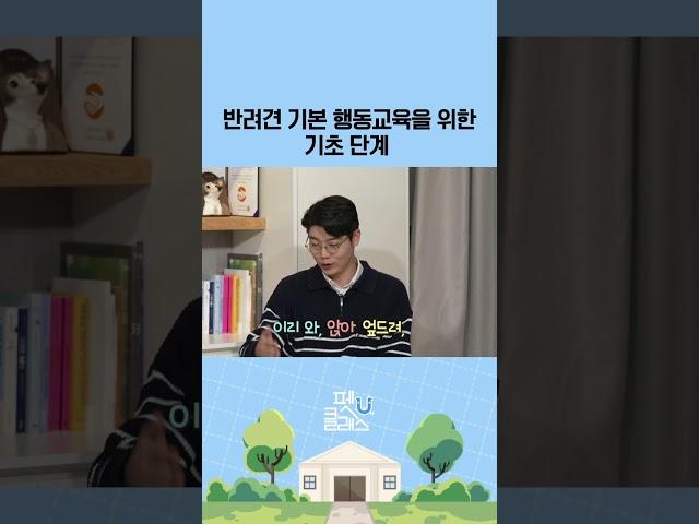 반려견 기본 행동교육을 위한 기초 단계