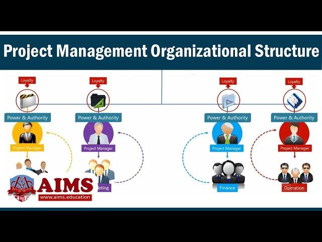 Project Management Organizational Structure & Types: Functional, Matrix & Projectized - AIMS UK