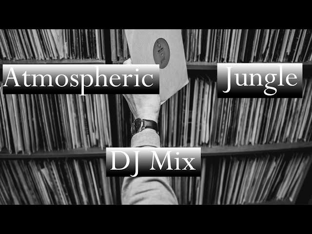 Atmospheric Jungle Vinyl DJ Mix