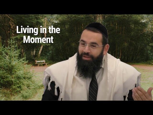 Living in the Moment - Parshat Vayigash