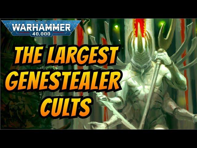 THREE of the LARGEST Known GENESTEALER CULTS | Warhammer 40k Lore