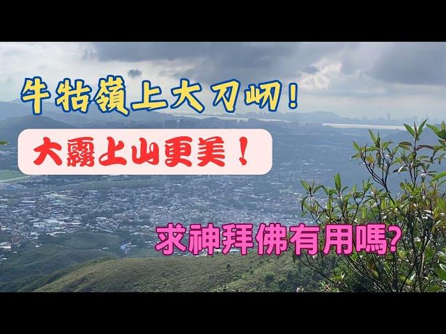 【牛牯嶺上大刀屻！】大霧上山更美！【一路行一路講】