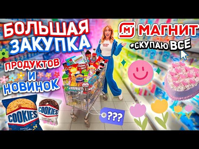 Большая Закупка ПРОДУКТОВ и Новинок Еды Шоппинг в МАГНИТ Скупили ВСЕ и ПОТРАТИЛИ ВСЕ ДЕНЬГИ 