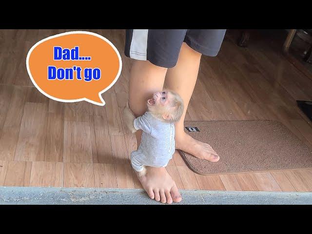 Monkey David clung to Dad's leg, crying and demanding to go out.