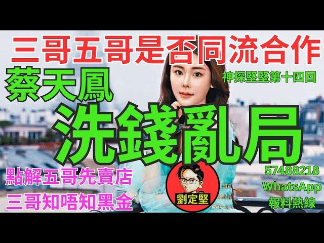 蔡天鳳洗錢亂局。奇案系列19