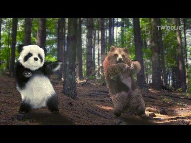 Animal Song (Jungle Dance) | With Panda, Dog, Cats, and a Bear 2024 | By Twiddlie