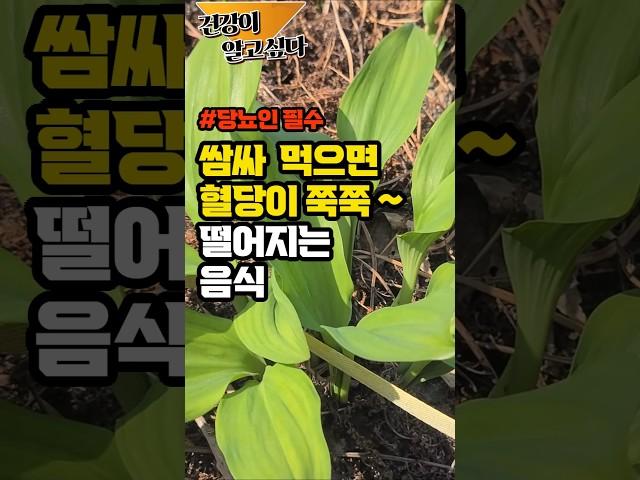 당뇨인 필수! 매일 쌈싸 먹으면 혈당이 쭉 떨어지는 음식 #건강 #건강정보 #당뇨 #혈당