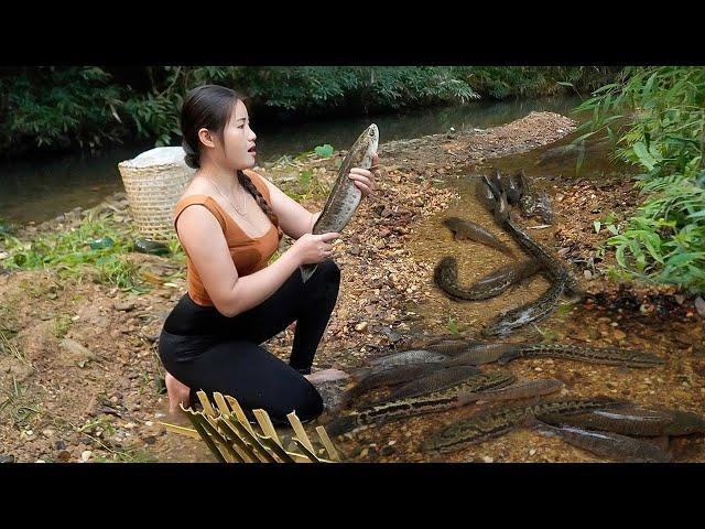 The girl created a unique fish trap that combines corn, eggs and bran to attract fish into the trap.