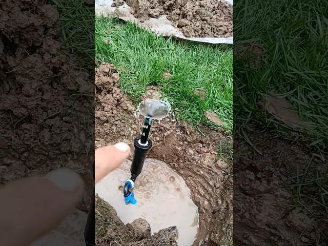 WATCH OUT when choosing a brand for Sprinklers! #shorts #diy #amazing #water