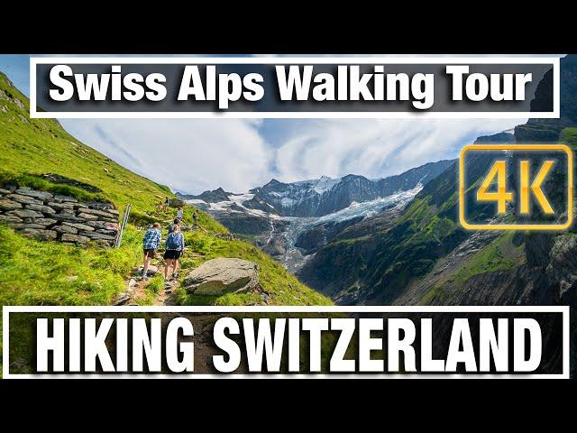 4K City Walks:  Grindelwald Switzerland & Pfingstegg - Virtual Walk Walking Treadmill Video Hiking