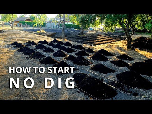 How to Make a No Dig Garden Bed