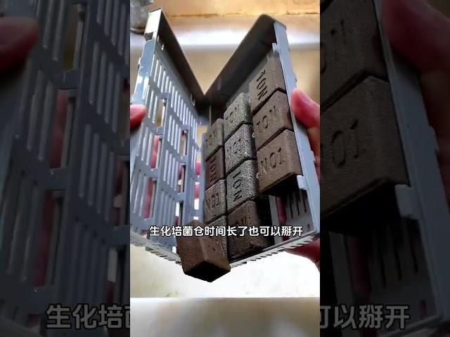 这才是小米鱼缸最好用的滤材，小手轻轻一掰就能打开#水族器材 #小米鱼缸 #水族 #养鱼日记 #鱼缸过滤