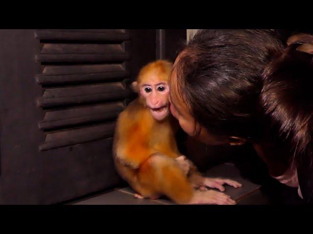 Rusty drop Tear Down Forever when Saw KT leave from Him at night in Wild | Rescue Abandoned Monkey