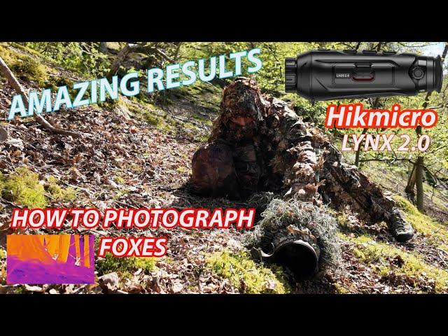 Fox photography and Hikmicro Thermal Monocular test