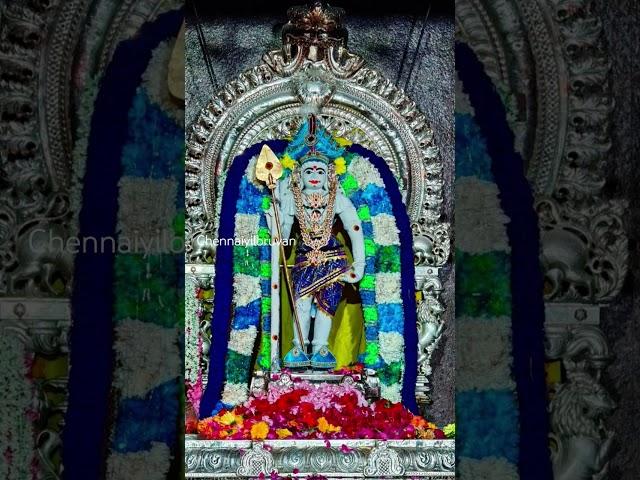 #murugan #muruganthunai #muruganarul #murugandevotes #arumugam #devotees #positivevibes #vadapalani