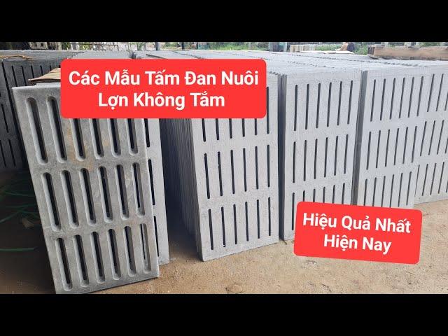 Các Mẫu Tấm Đan Nuôi Lợn Không Tắm Tiết Kiệm Chi Phí | Khởi Nghiệp TV