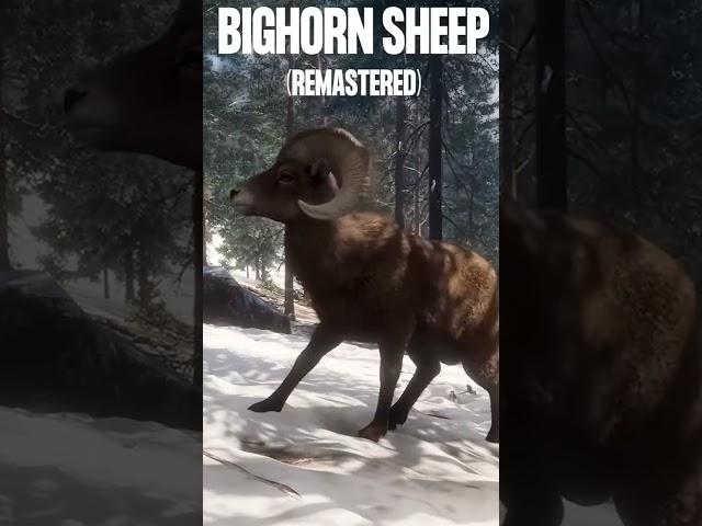 *NEW* ALL 19 SPECIES REVEALD on NEW ALBERTA MAP!!#cotw #thehunter #thehuntercotw