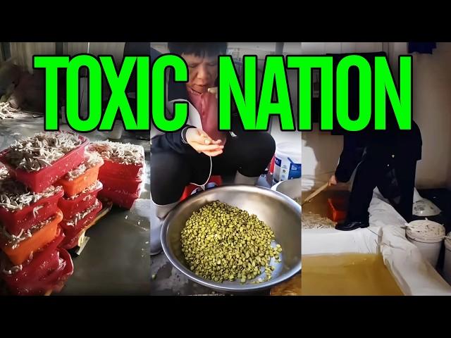 China's toxic food crisis
