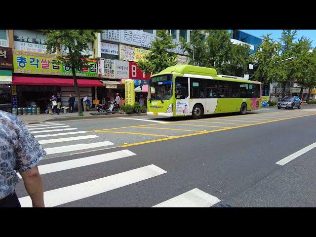 Korea City Tour - Jeonju