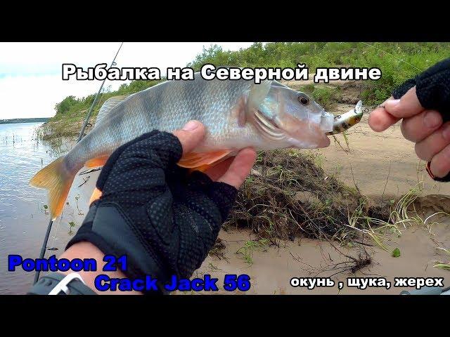 Рыбалка на Северной двине. Pontoon21 Crack Jack 58