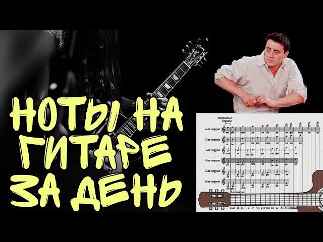 Как выучить ноты на гитаре за день! Стандартный строй