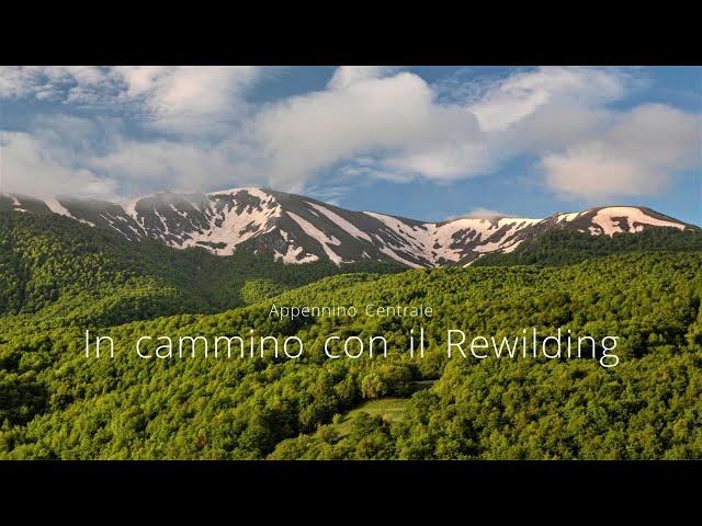 Central Apennines, A Rewilding Journey