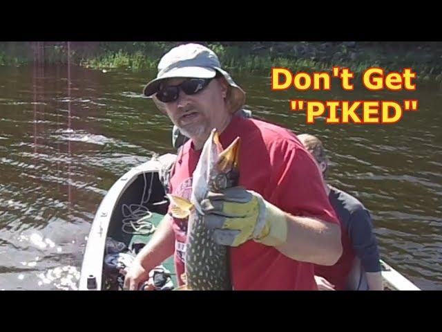 Don't Get Bit Off By Northern Pike