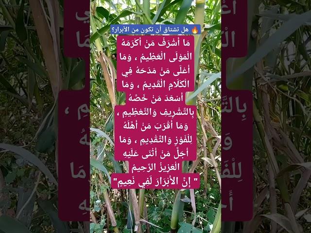  هل تشتاق أن تكون من الأبرار؟#موعظة_مؤثرة#الصالحين#القرآن_الكريم