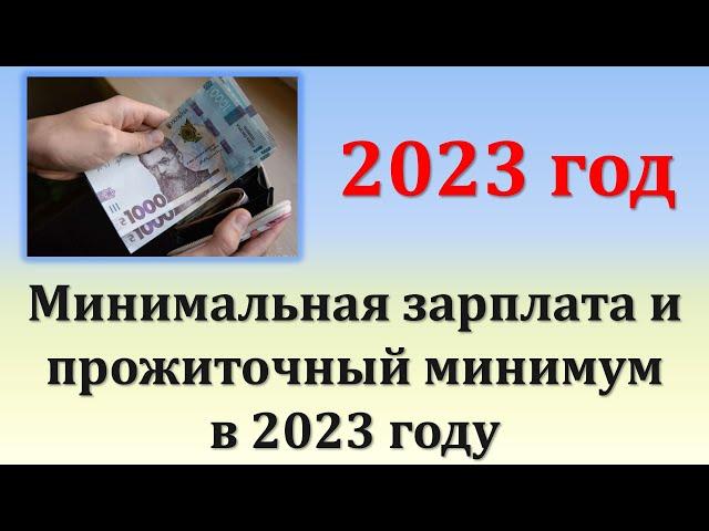 Минимальная зарплата и прожиточный минимум в 2023 году