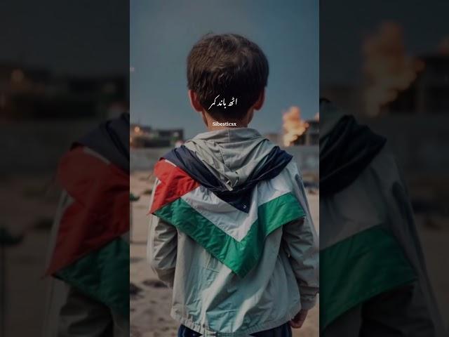 free Palestine  #shortvideo #islamicreels #shorts #short #palastine #palästina #palestinian