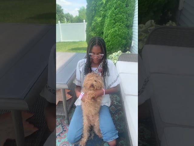 I tried #newpuppy