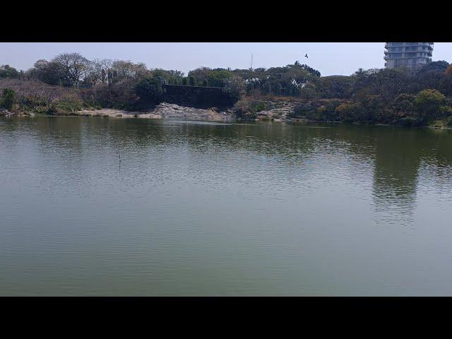 Lotus pond and awesome Lake Lalbagh @ Kannada Excellence Academy