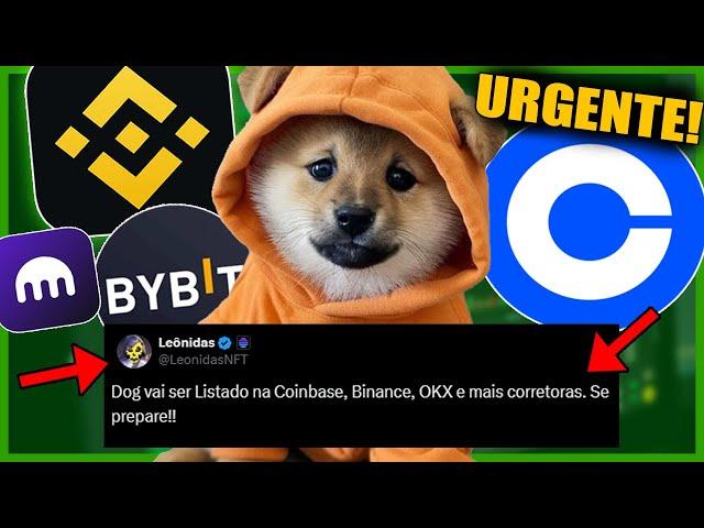  DOG GO TO THE MOON BOMBA! LISTAGEM NA BINANCE, COINBASE e OKX! CRIPTOMOEDA MEME VALORIZAR MUITO!