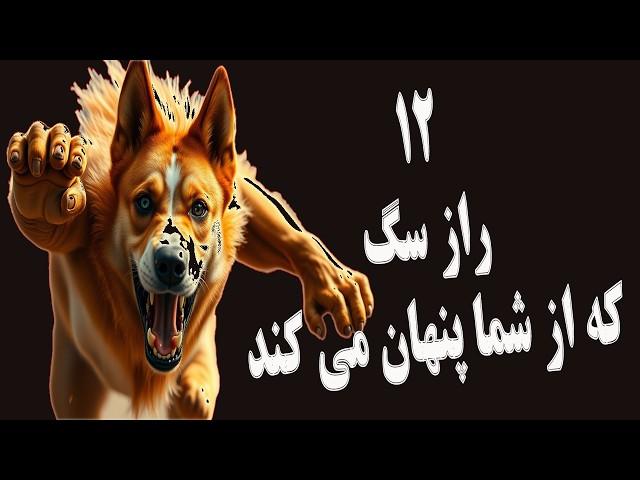رازهایی که سگ‌تان از شما پنهان می‌کند، علم هم حیرت‌زده است