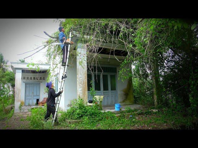 The Tree Cutter ran away when he discovered something inside the abandoned house