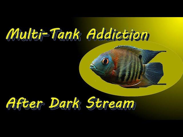 Multi-Tank Addiction After Dark