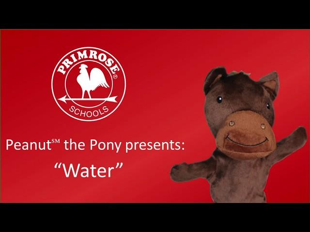 Peanut™ the Pony - "Water"