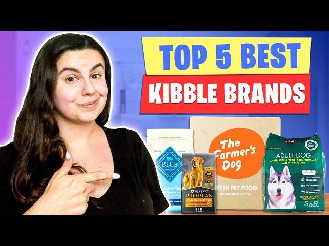 Best Dog Food Brands: The Best Kibble to Feed Your Dog