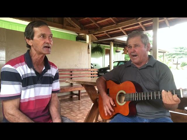 Ipê Florido ( O ipê e o prisioneiro) -Cover José Antônio e Joãozinho