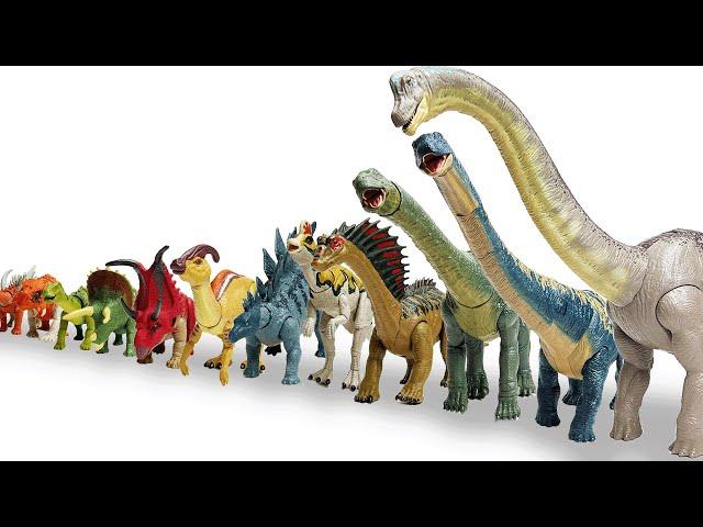 HUGE Quadrupedal Dinosaur Collection pt. 2: Big to Small | Brachiosaurus, Triceratops and More!