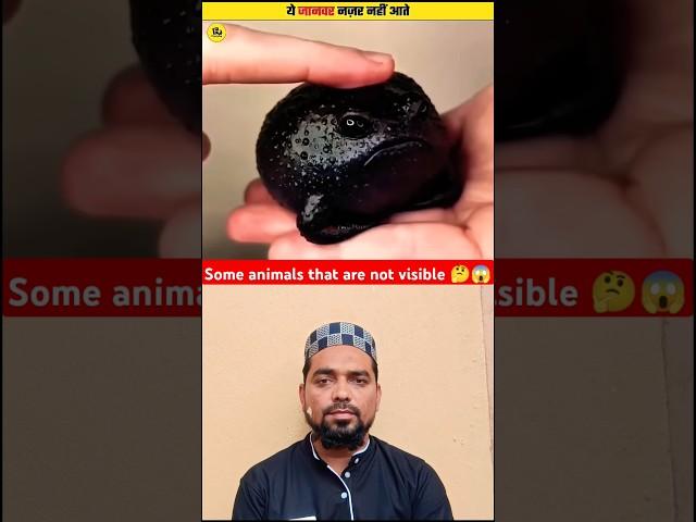 Some animals that are not visible  #fact #short #trending #islam #ytshorts #allah #shortsfeed