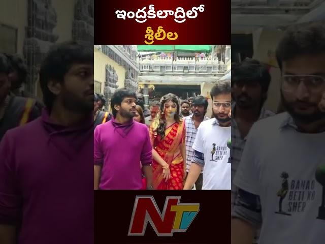 Sreeleela Visits Vijayawada Kanakadurgamma Temple | Ntv