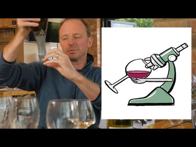 How to make a Great Wine (Using Science)!