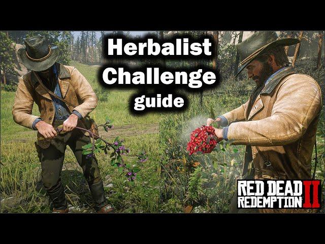 Herbalist Challenge Guide - All plants location and Tips to complete them - Rede Dead redemption 2